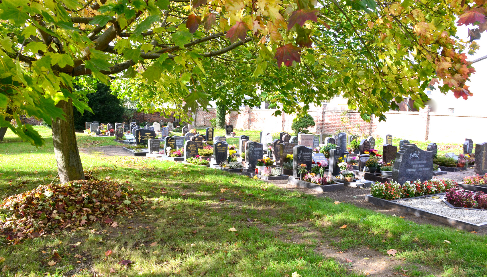 Friedhof Lochau Gräberfeld