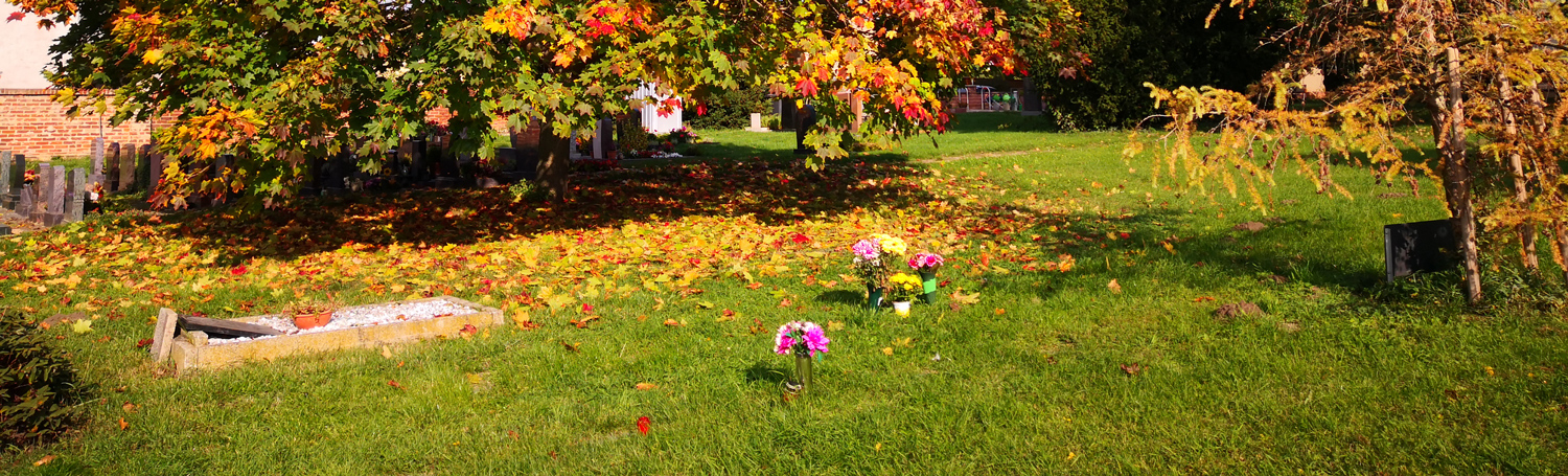 Friedhof Lochau