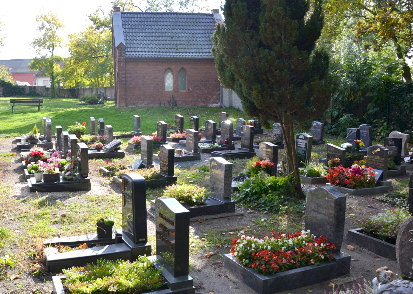 Friedhof Dieskau Baumgrab