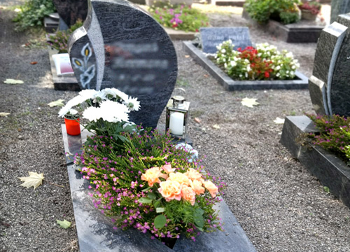 Friedhof Lochau UrnenGrab